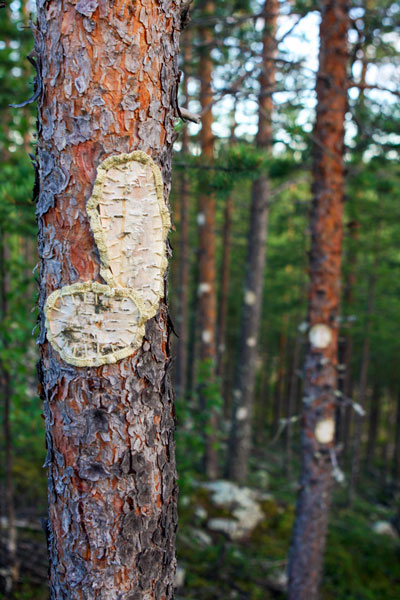 Hannah Streefkerk, Netherland/Sweden: To Patch