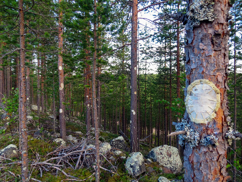 Hannah Streefkerk, Netherland/Sweden: To Patch