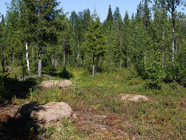 Karen Macher, Peru: Habitat