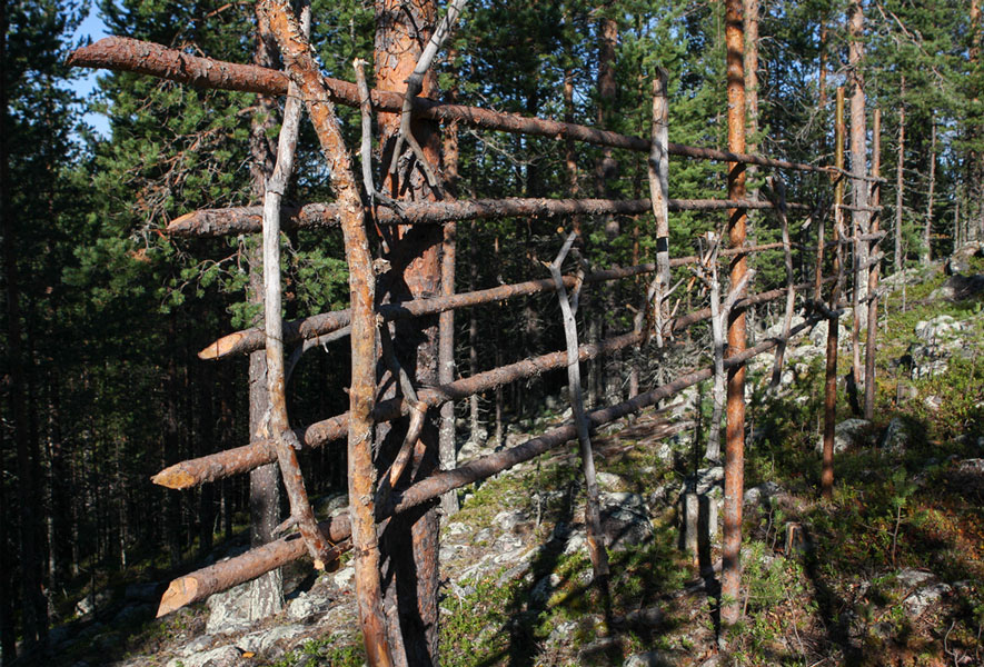 Risto Immonen: Ave Maria