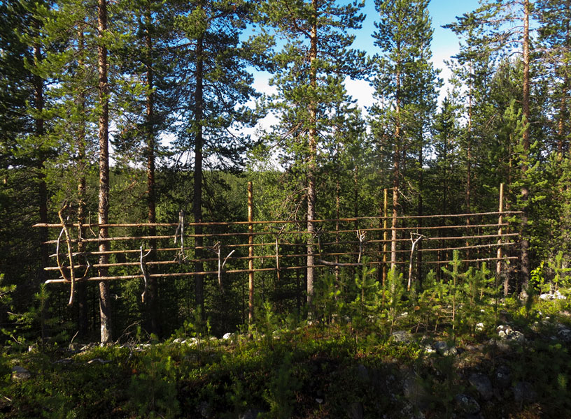 Risto Immonen: Ave Maria
