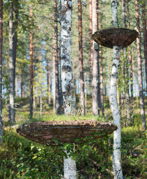 Thomas May, Germany: Tree Garden