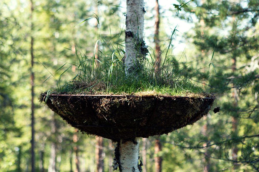 Thomas May, Germany: Tree Garden