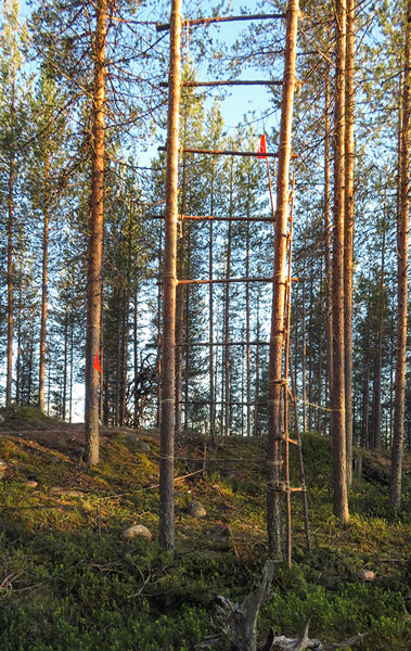 Pauliina Turakka Purhonen: Kesken unien