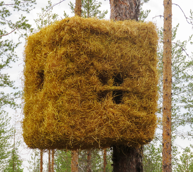 Sauli Miettunen: Lähiö