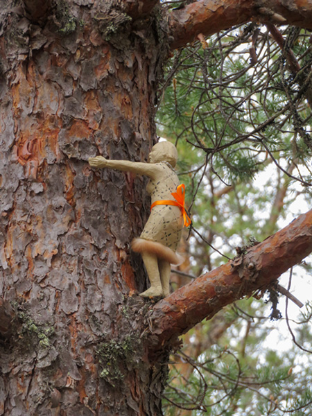 Tom Engblom: Tree Lover