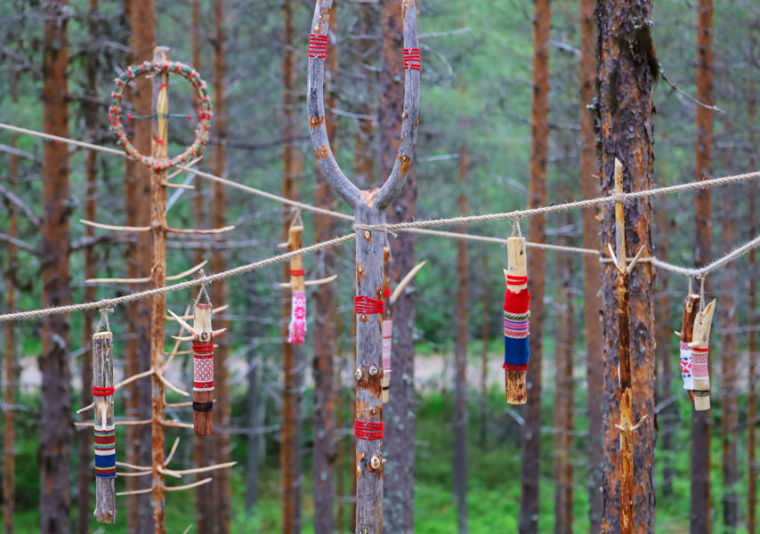 Satu Kalliokuusi: Metsänpuolustaja