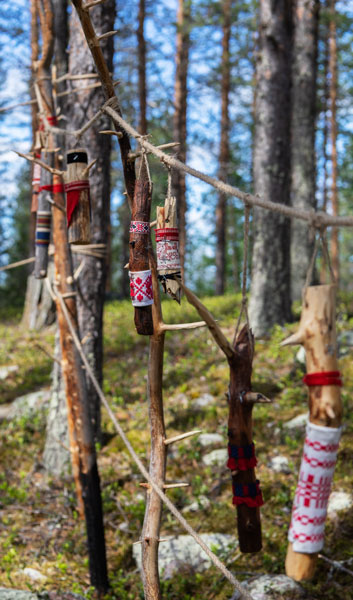 Satu Kalliokuusi: Metsänpuolustaja
