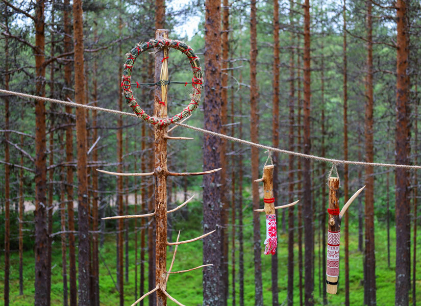 Satu Kalliokuusi: Metsänpuolustaja